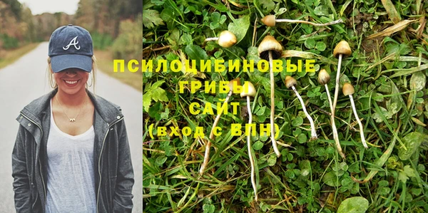 apvp Михайловск