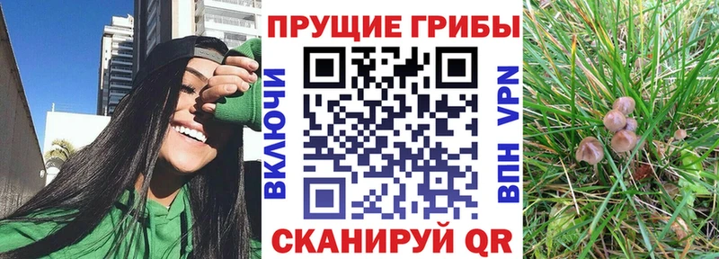 kraken ССЫЛКА Электроугли Псилоцибиновые грибы прущие грибы купить наркоту