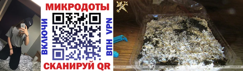 Галлюциногенные грибы Psilocybe Электроугли